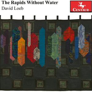 the album cover for Hanneloere Mueller - Rapids Without Water