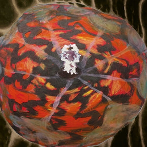 the album cover for Spectacle of Light Abductions 2 - Music For The Paintings Of Vedran Kopljar