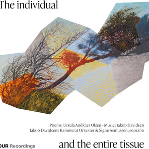 the album cover for Signe Asmussen - Individual & The Entire Tissue
