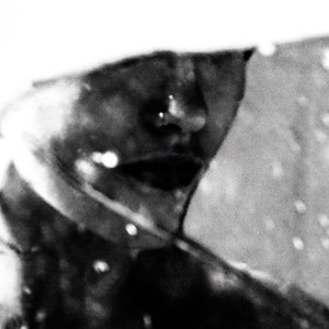 the album cover for Purgate - Leavings