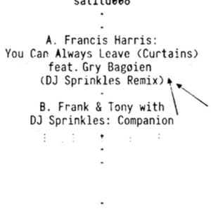 the album cover for Dj Sprinkles / Frank & Tony / Francis Harris - You Can Always Leave / Companion (Ep)