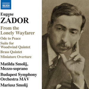 the album cover for Matilda Smolij - Zador: From The Lonely Wayfarer