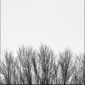 the album cover for Northwoods Improvisers - White Sky