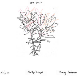the album cover for Kirk Knuffke - Paintbrush