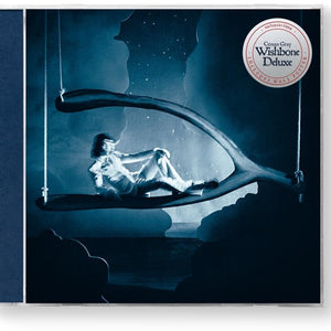 the album cover for Conan Gray - Wishbone Deluxe