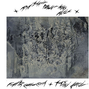the album cover for Faith Coloccia - Their Power Was Alive