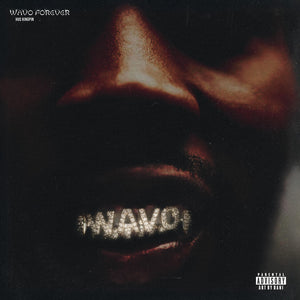 the album cover for Hus KingPin - Wavo Forever
