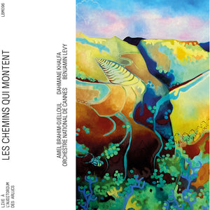 the album cover for Amel Djelloul  Brahim - Les Chemins Qui Montent (Live)