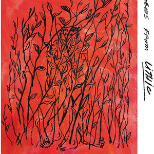 the album cover for Caleb Nichols - Stone Age Is Now: Poems From Lithic