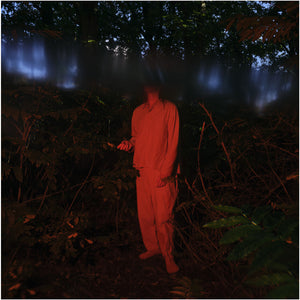the album cover for Raphael Vanoli - Ventschau