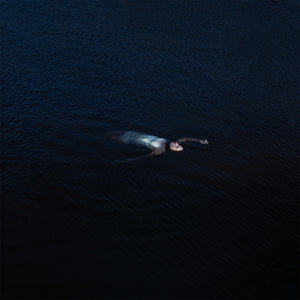 the album cover for Mustard Service - Paradise
