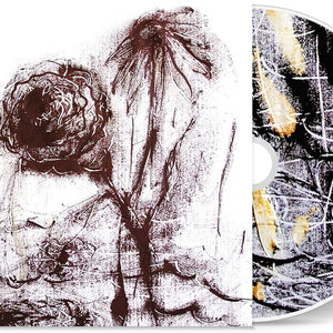 the album cover for William Basinski - Passing The Cup Of Sorrows