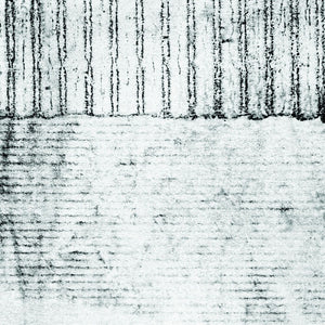 the album cover for Coh - Iron
