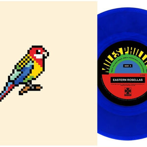 the album cover for Miles Phillips - Eastern Rosellas (Blue) [Colored Vinyl] [Limited Edition]