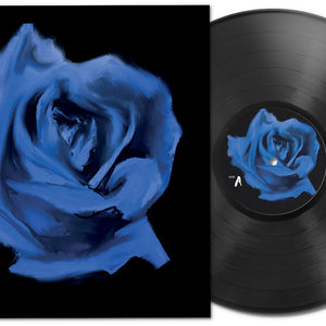 the album cover for Current Joys - Rosebud