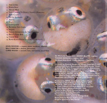 Load image into Gallery viewer, Medeski Martin and Wood* : Friday Afternoon In The Universe (CD, Album)
