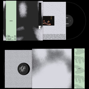 the album cover for Aeaea - Mist