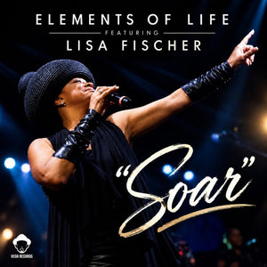 the album cover for Elements Of Life - Soar [Colored Vinyl] [180 Gram] (Ylw)