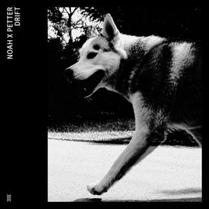 the album cover for Noah X Petter - Drift