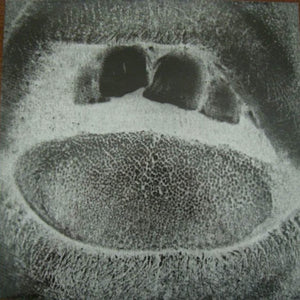 the album cover for Skullflower - Obsidian Shaking Codex [Deluxe]