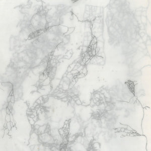 the album cover for Andy Guthrie - Rootless