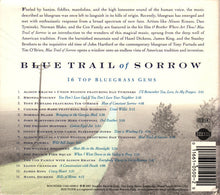 Load image into Gallery viewer, Various : Blue Trail Of Sorrow (16 Top Bluegrass Gems) (CD, Comp)
