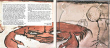 Load image into Gallery viewer, Grant Lee Buffalo : Copperopolis (CD, Album, RE, RM, Dig)
