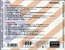 Load image into Gallery viewer, Jay &amp; The Americans : Jay &amp; The Americans / Sunday And Me (CD, Comp)
