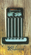 Load image into Gallery viewer, Stevie Ray Vaughan &amp; Double Trouble : S.R.V. (Box + 3xCD, Comp + DVD)
