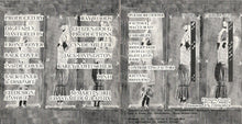 Load image into Gallery viewer, Pleasure Center : Ergo (CD, Album)
