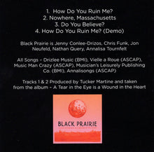 Load image into Gallery viewer, Black Prairie : How Do You Ruin Me? (CD)
