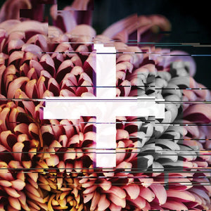 The Foreign Exchange : +FE Music (The Reworks) (2xCD, Comp)