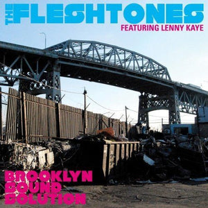 The Fleshtones & Lenny Kaye : Brooklyn Sound Solution (CD, Album)