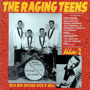 Various : The Raging Teens Volume 2 (CD, Comp)