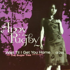 Amy Rigby : Wait Til I Get You Home (CD, Single, Promo)