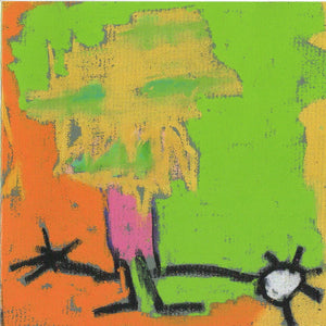 Medeski Martin & Wood : Shack-man (CD, Album)