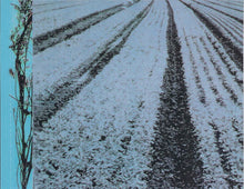 Load image into Gallery viewer, Tracy Chapman : New Beginning (CD, Album, Club)
