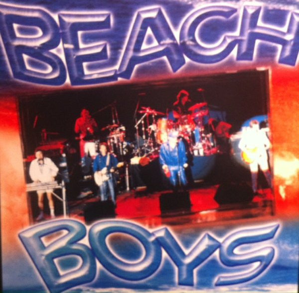 The Beach Boys : Live Hits Collection (CD, Comp)