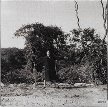 Load image into Gallery viewer, Lou Reed : The Raven (CD, Album)
