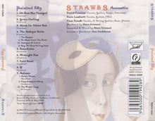 Load image into Gallery viewer, Strawbs : Painted Sky (CD, Album)
