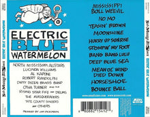 Load image into Gallery viewer, North Mississippi Allstars : Electric Blue Watermelon (CD, Album)
