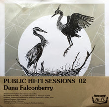 Load image into Gallery viewer, Dana Falconberry : Public Hi-Fi Sessions 02 (12&quot;, Ltd)
