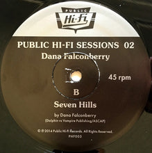 Load image into Gallery viewer, Dana Falconberry : Public Hi-Fi Sessions 02 (12&quot;, Ltd)
