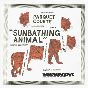 Parquet Courts : Sunbathing Animal (CD, Album)