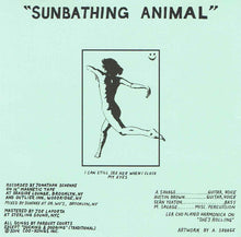 Load image into Gallery viewer, Parquet Courts : Sunbathing Animal (CD, Album)
