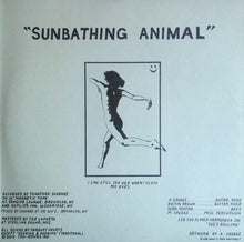 Load image into Gallery viewer, Parquet Courts : Sunbathing Animal (LP, Album, Gat)
