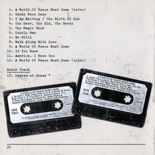 Load image into Gallery viewer, Stephen John Kalinich* : A World Of Peace Must Come (CD, Album)
