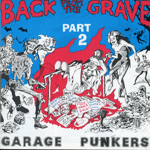 Various : Back From The Grave Part 2 (Garage Punkers) (CD, Comp)