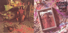 Load image into Gallery viewer, Giant Sand : The Love Songs (CD, Album)
