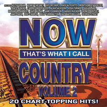 Load image into Gallery viewer, Various : Now That&#39;s What I Call Country Volume 2 (CD, Comp, Enh)
